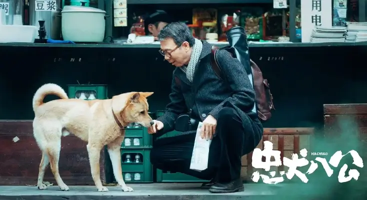 能在国外看国内电视剧的软件评价